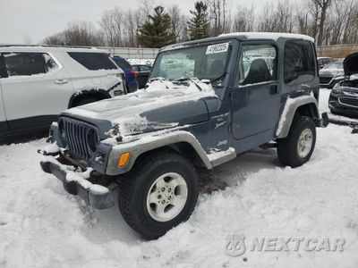 2001 JEEP WRANGLER / TJ SPORT 1J4FA49S81P334783 - główne zdjęcie licytacji z USA - miniatura