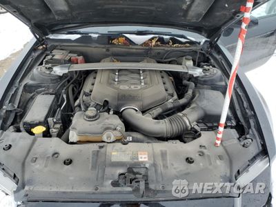 Zdjęcie 12 z 14 samochodu: 2014 FORD MUSTANG GT VIN:1ZVBP8CF2E5306031 - miniatura