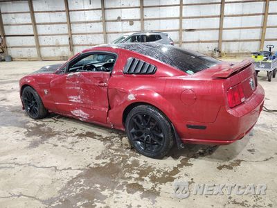 Drugie zdjęcie samochodu z przodu: 2009 FORD MUSTANG GT VIN:1ZVHT82HX95124656 - miniatura