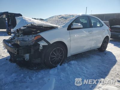 2017 TOYOTA COROLLA L 2T1BURHE7HC769257 - główne zdjęcie licytacji z USA - miniatura