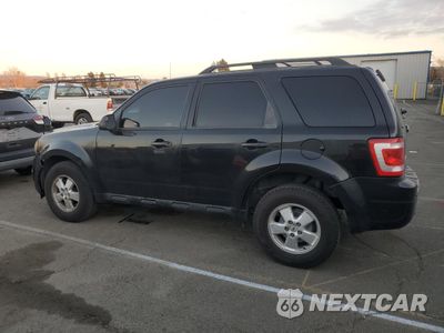 Drugie zdjęcie samochodu z przodu: 2011 FORD ESCAPE XLT VIN:1FMCU0D76BKB37021 - miniatura