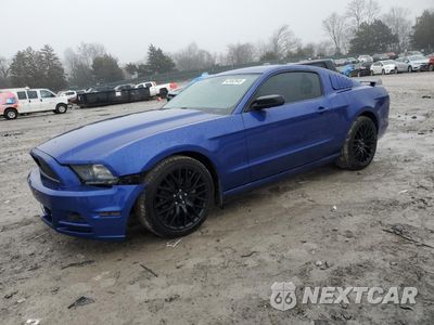 2013 FORD MUSTANG 1ZVBP8AM7D5215613 - główne zdjęcie licytacji z USA - miniatura