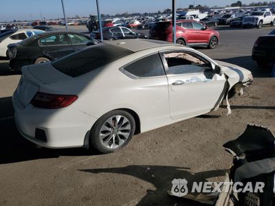 Trzecie zdjęcie samochodu z tyłu: 2013 HONDA ACCORD EXL VIN:1HGCT1B80DA004466 - miniatura
