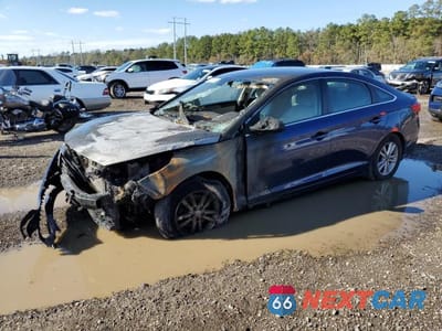 2017 HYUNDAI SONATA 5NPE24AF8HH589050 - główne zdjęcie licytacji z USA - miniatura