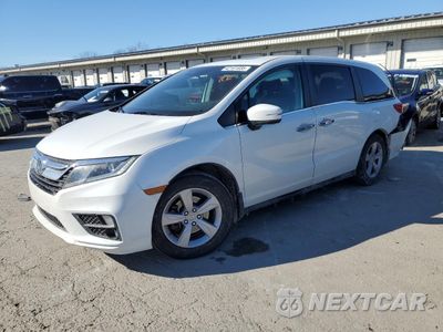 2020 HONDA ODYSSEY EXL 5FNRL6H76LB007155 - główne zdjęcie licytacji z USA - miniatura