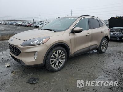 2020 FORD ESCAPE TITANIUM 1FMCU9DZ7LUA60204 - główne zdjęcie licytacji z USA - miniatura