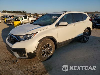 2021 HONDA CR-V EXL 7FARW1H89ME019759 - główne zdjęcie licytacji z USA - miniatura