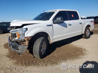 2019 FORD F150 SUPERCREW 1FTEW1E52KKE91452 - główne zdjęcie licytacji z USA - miniatura