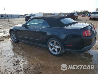 Drugie zdjęcie samochodu z przodu: 2010 FORD MUSTANG GT VIN:1ZVBP8FH0A5129308 - miniatura