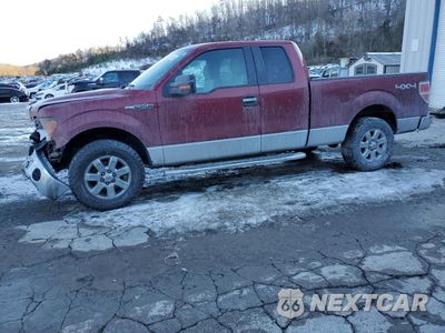 2013 FORD F150 SUPER CAB 1FTFX1EF2DFD46725 - główne zdjęcie licytacji z USA - miniatura