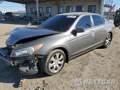 2008 HONDA ACCORD EXL 1HGCP36818A044068 - główne zdjęcie licytacji z USA - miniatura