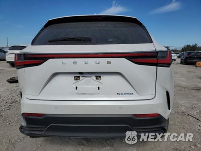 Zdjęcie 6 z 15 samochodu: 2024 LEXUS NX 250 PREMIUM VIN:JTJGDCAZ1R5017114 - miniatura