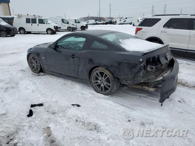 Drugie zdjęcie samochodu z przodu: 2014 FORD MUSTANG GT VIN:1ZVBP8CF2E5306031 - miniatura