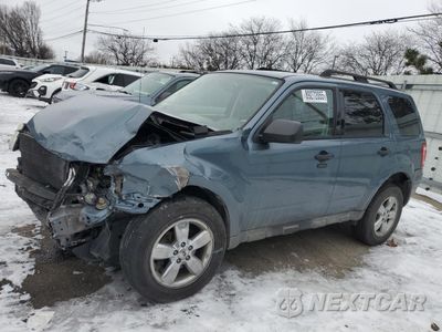 2011 FORD ESCAPE XLT 1FMCU0D77BKA67352 - główne zdjęcie licytacji z USA - miniatura