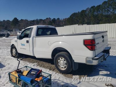 Drugie zdjęcie samochodu z przodu: 2013 FORD F150 VIN:1FTMF1CM7DKF02681 - miniatura