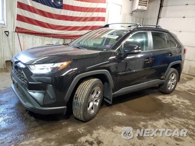 2024 TOYOTA RAV4 XLE 2T3RWRFV3RW232646 - główne zdjęcie licytacji z USA - miniatura