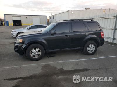 2011 FORD ESCAPE XLT 1FMCU0D76BKB37021 - główne zdjęcie licytacji z USA - miniatura