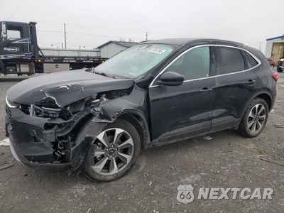 2023 FORD ESCAPE PLATINUM 1FMCU9JA2PUA64021 - główne zdjęcie licytacji z USA - miniatura