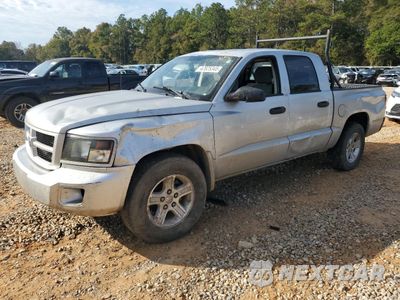 2011 DODGE DAKOTA SLT 1D7RE3GK4BS577435 - główne zdjęcie licytacji z USA - miniatura