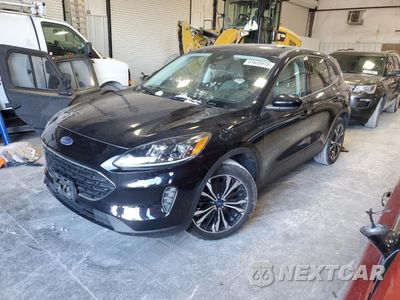 2022 FORD ESCAPE SE 1FMCU0BZ8NUA08470 - główne zdjęcie licytacji z USA - miniatura