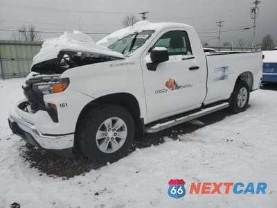 2023 CHEVROLET SILVERADO C1500 3GCNAAED8PG346369 - główne zdjęcie licytacji z USA - miniatura