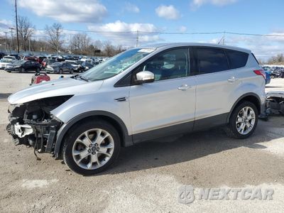 2013 FORD ESCAPE SEL 1FMCU0H97DUC72057 - główne zdjęcie licytacji z USA - miniatura