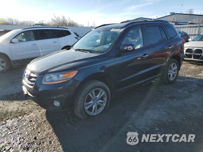 2010 HYUNDAI SANTA FE LIMITED 5NMSKDAG9AH355787 - główne zdjęcie licytacji z USA - miniatura