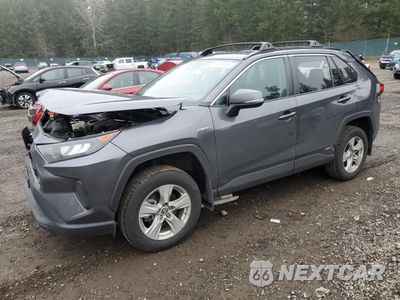 2021 TOYOTA RAV4 LE 4T3M6RFV7MU011263 - główne zdjęcie licytacji z USA - miniatura
