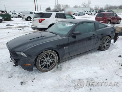 2014 FORD MUSTANG GT 1ZVBP8CF2E5306031 - główne zdjęcie licytacji z USA - miniatura