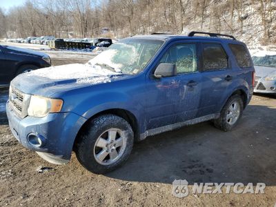2009 FORD ESCAPE XLT 1FMCU93G19KB71173 - główne zdjęcie licytacji z USA - miniatura