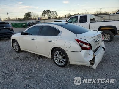 Drugie zdjęcie samochodu z przodu: 2010 NISSAN MAXIMA S VIN:1N4AA5AP5AC841487 - miniatura