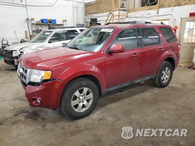 2011 FORD ESCAPE LIM 1FMCU9EG5BKB98220 - główne zdjęcie licytacji z USA - miniatura