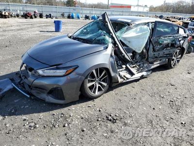 2021 NISSAN MAXIMA SV 1N4AA6CV8MC513535 - główne zdjęcie licytacji z USA - miniatura