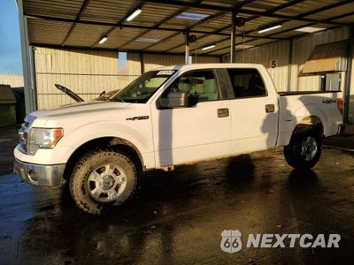2013 FORD F150 SUPERCREW 1FTFW1EFXDFD27603 - główne zdjęcie licytacji z USA - miniatura