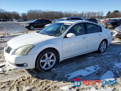 2004 NISS MAXIMA 3.5 SE 1N4BA41E64C824764 - główne zdjęcie licytacji z USA - miniatura