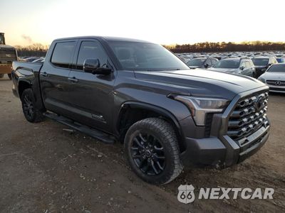 Czwarte zdjęcie samochodu z boku: 2023 TOYOTA TUNDRA CREWMAX PLATINUM VIN:5TFNA5DBXPX110289 - miniatura
