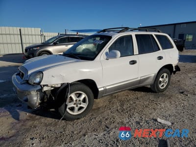 2003 HYUNDAI SANTA FE GLS KM8SC13D73U508611 - główne zdjęcie licytacji z USA - miniatura