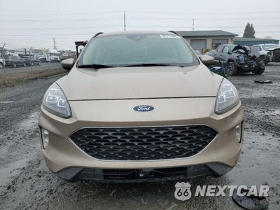 Piąte zdjęcie samochodu w środku: 2020 FORD ESCAPE TITANIUM VIN:1FMCU9DZ7LUA60204 - miniatura