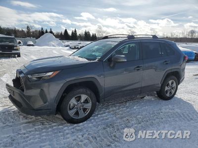 2024 TOYOTA RAV4 XLE 4T3RWRFV1RU140421 - główne zdjęcie licytacji z USA - miniatura