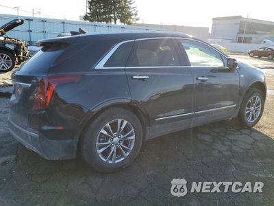 Trzecie zdjęcie samochodu z tyłu: 2021 CADILLAC XT5 PREMIUM LUXURY VIN:1GYKNDRS6MZ111640 - miniatura