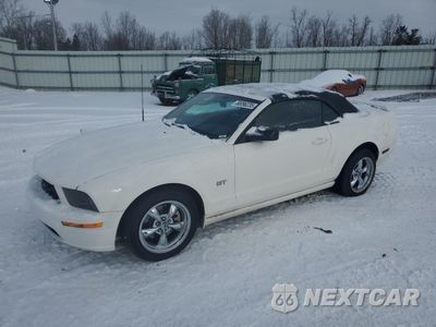 2006 FORD MUSTANG GT 1ZVHT85H865195300 - główne zdjęcie licytacji z USA - miniatura