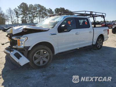 2019 FORD F150 SUPERCREW 1FTEW1C58KFA73957 - główne zdjęcie licytacji z USA - miniatura
