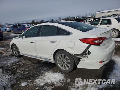 Drugie zdjęcie samochodu z przodu: 2016 HYUNDAI SONATA SPORT VIN:5NPE34AF3GH346578 - miniatura