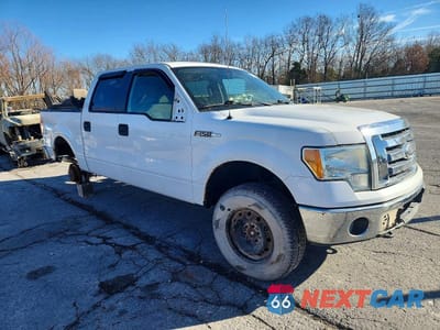 Czwarte zdjęcie samochodu z boku: 2010 FORD F150 SUPERCREW VIN:1FTEW1E85AKE80499 - miniatura