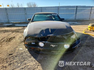 Piąte zdjęcie samochodu w środku: 2005 FORD MUSTANG GT VIN:1ZVHT85H455226315 - miniatura