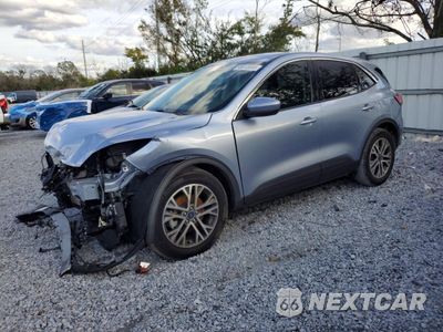 2022 FORD ESCAPE SEL 1FMCU0H67NUA81097 - główne zdjęcie licytacji z USA - miniatura