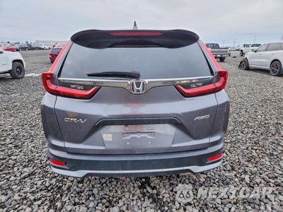 Zdjęcie 6 z 16 samochodu: 2020 HONDA CR-V LX VIN:5J6RW2H20LA004887 - miniatura