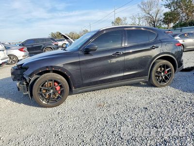 2019 ALFA ROMEO STELVIO TI ZASPAKBN7K7C41099 - główne zdjęcie licytacji z USA - miniatura