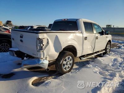 Trzecie zdjęcie samochodu z tyłu: 2013 FORD F150 SUPERCREW VIN:1FTFW1CF8DKD53725 - miniatura