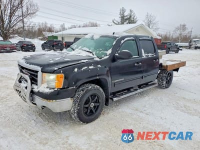 2009 GMC SIERRA K1500 3GTEK13M29G252989 - główne zdjęcie licytacji z USA - miniatura